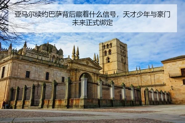 img_1783145726721_0_2_372.jpg
